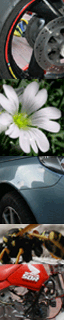 banner1